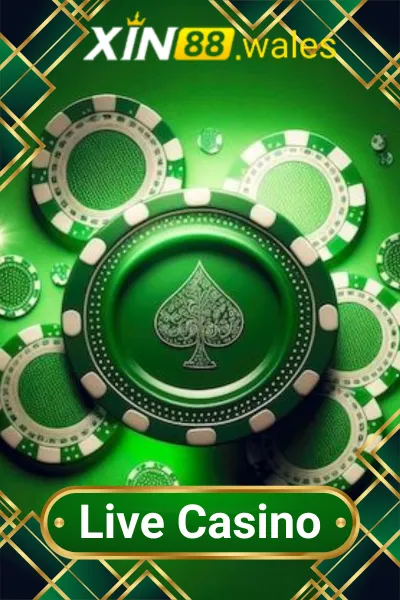 Live Casino