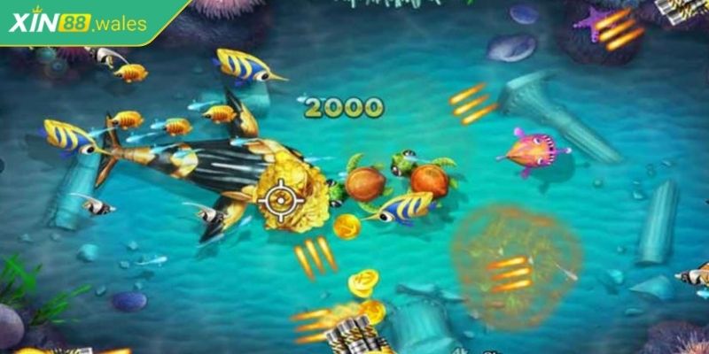 Bắn Cá Dễ Dàng XIN88 - Game Đổi Thưởng Chất Lượng Độc Đáo 2 Chất lượng đồ họa sống động