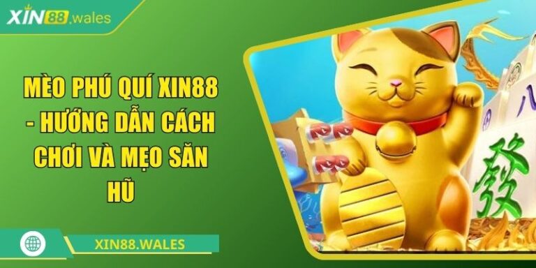 mèo phú quí Xin88