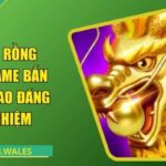 Thợ Săn Rồng Xin88